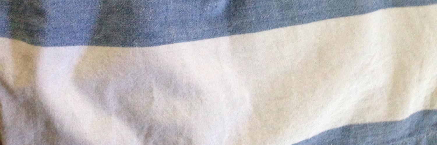 BluePlateDS's profile banner image