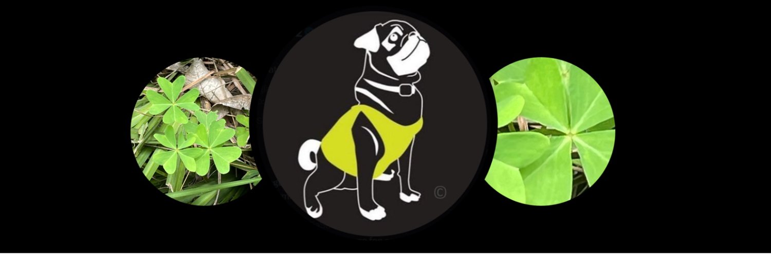 Federico M. Domínguez banner