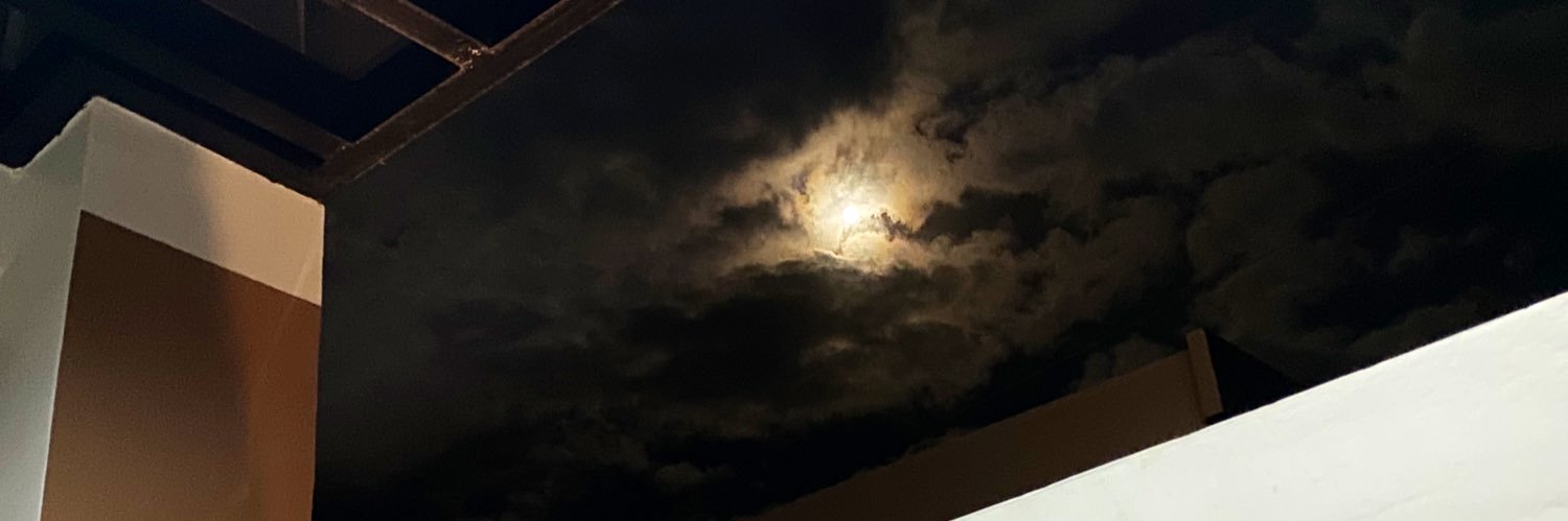 srfnlc_'s profile banner image