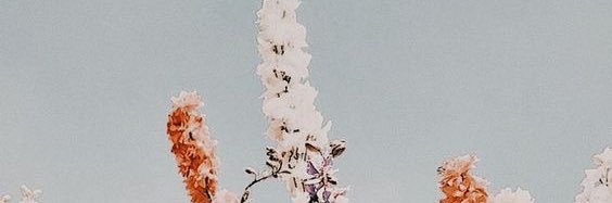 tynicole123's profile banner image