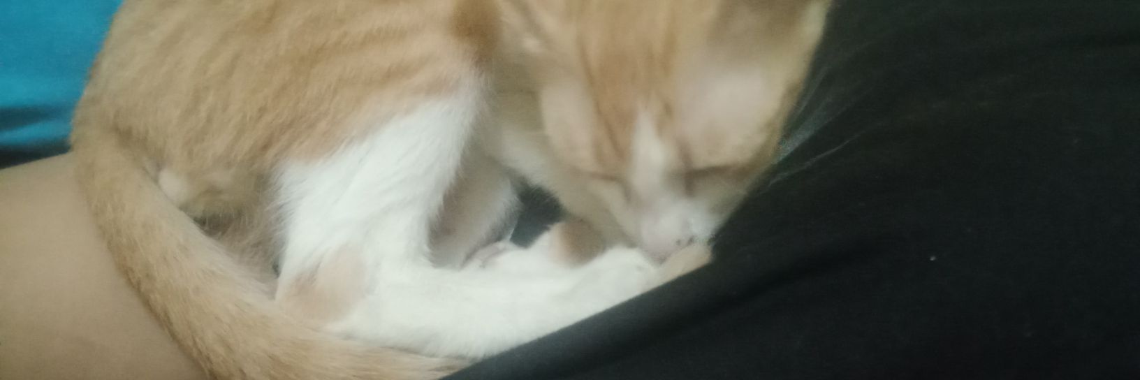 Junjira52592454's profile banner image