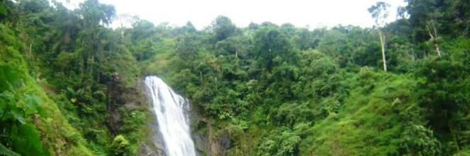 infogarut155's profile banner image