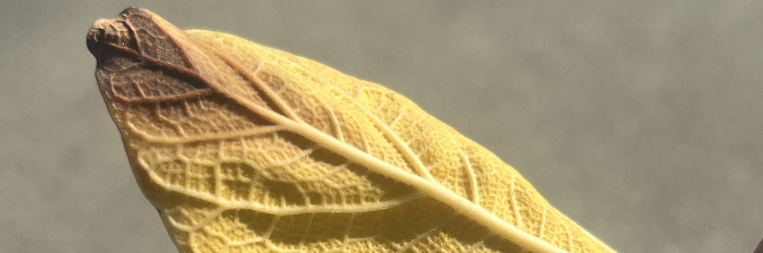 aciesjd's profile banner image