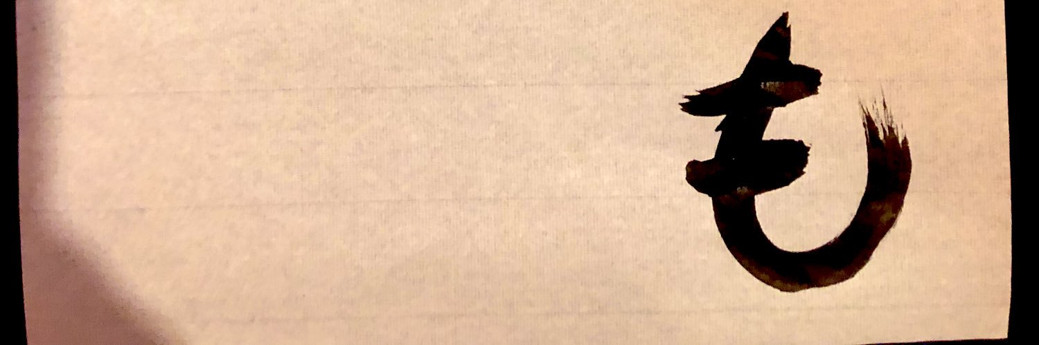 mooolly916's profile banner image