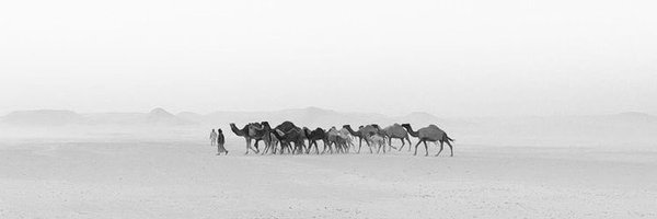 1391 Profile Banner