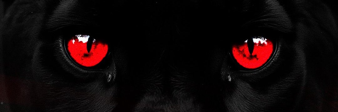 coke_zombie's profile banner image