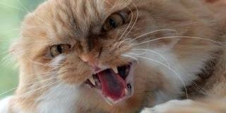 Edo46955575's profile banner image