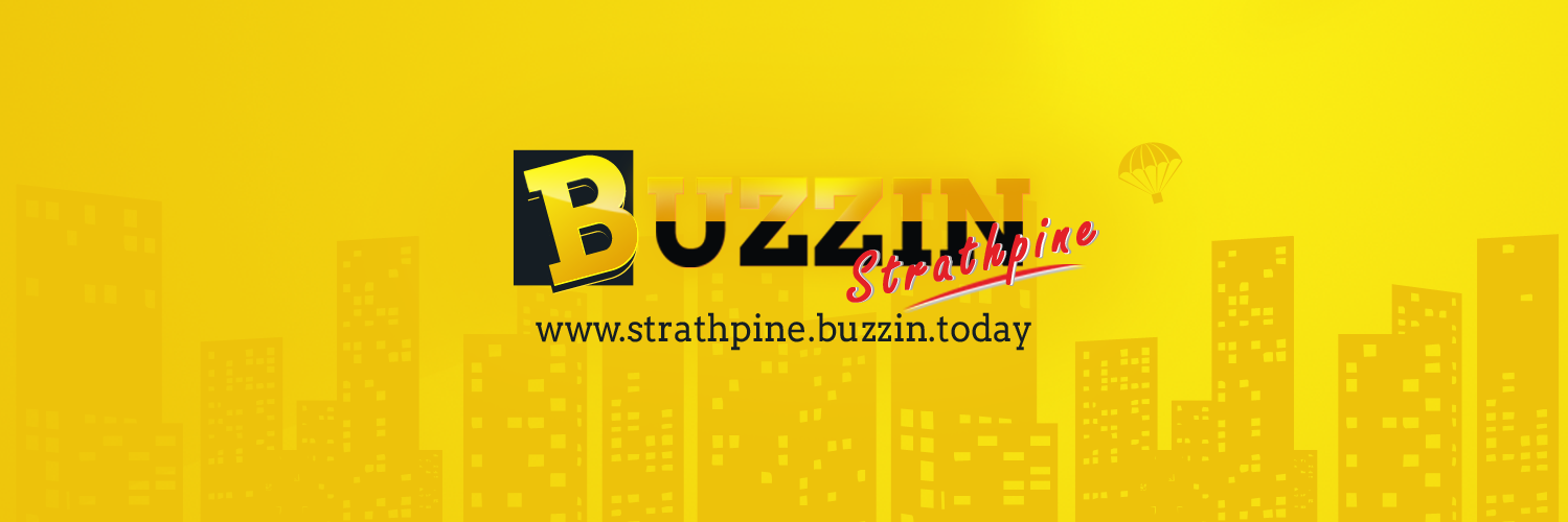 buzzinstrathpin's profile banner image