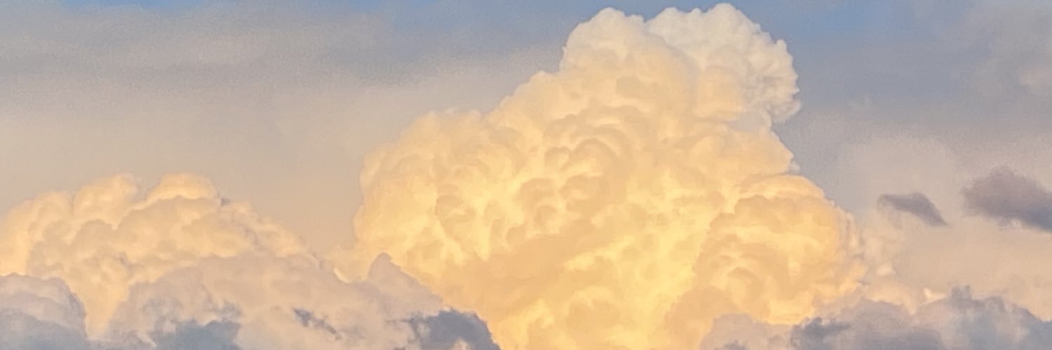 stormyfreedom's profile banner image