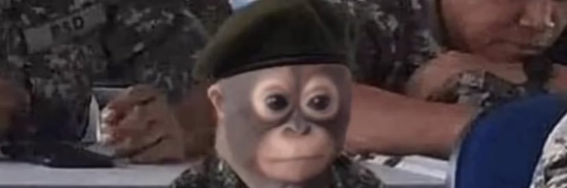 mattgbauer_'s profile banner image
