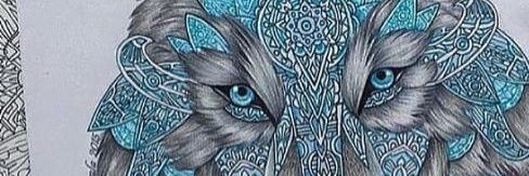 ijustadoreblack's profile banner image
