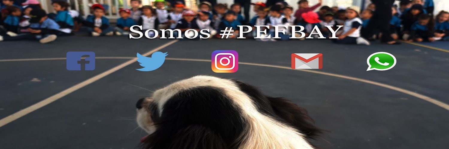 PBAYuc's profile banner image