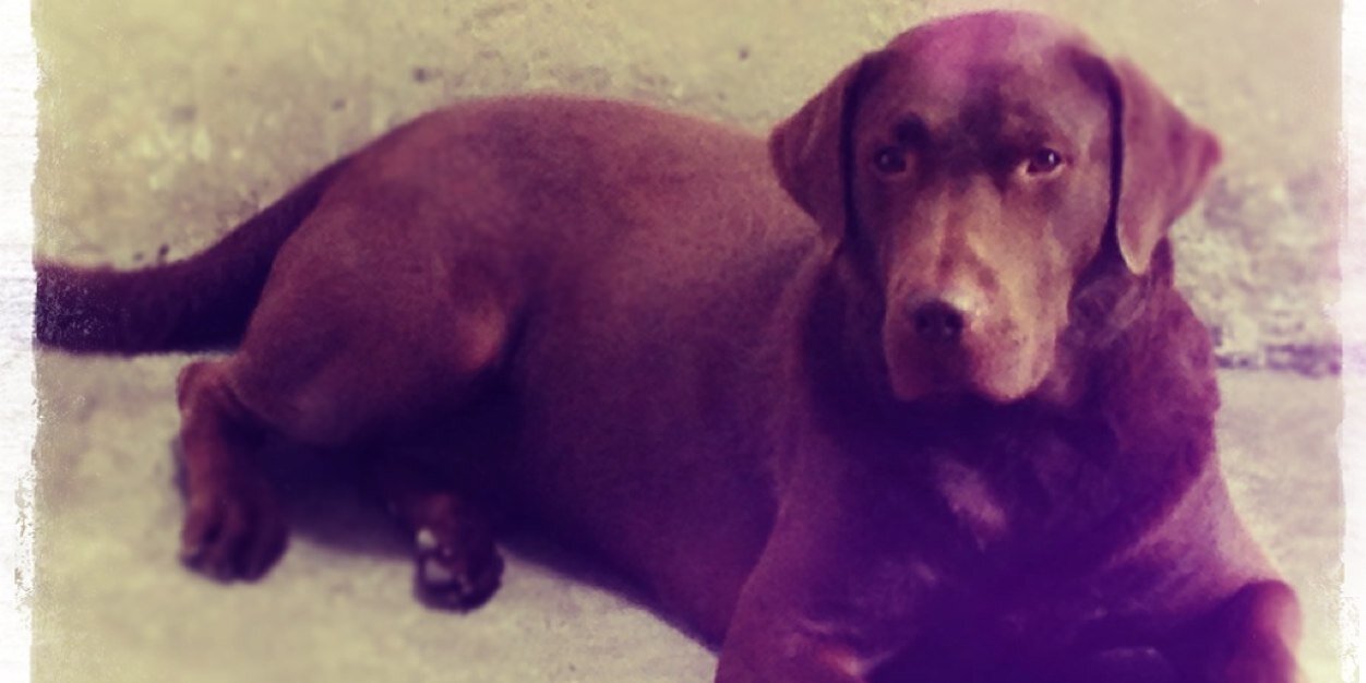 Rufaim's profile banner image