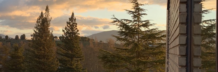 tanginanton's profile banner image