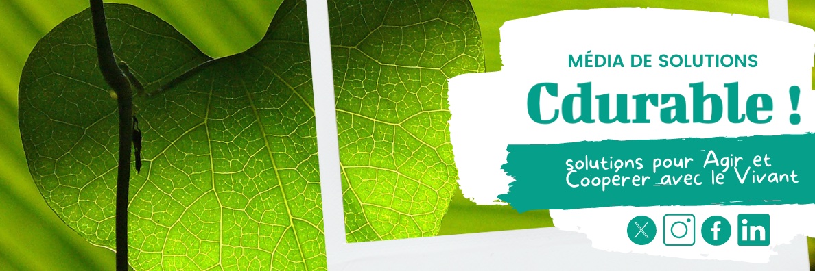 CDURABLE.info banner