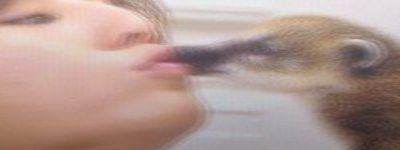 RYXXII's profile banner image