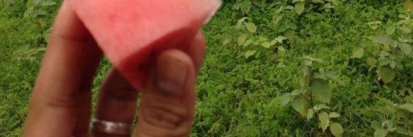 saif98359's profile banner image