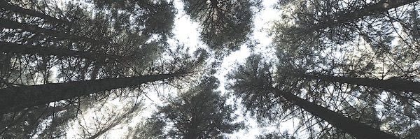 HMMRPRTNRS's profile banner image