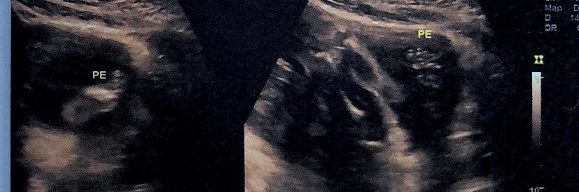 dudareeis_'s profile banner image
