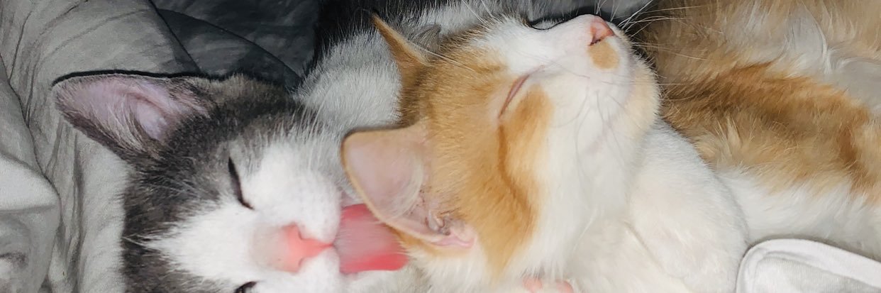 alyssamaneeee's profile banner image