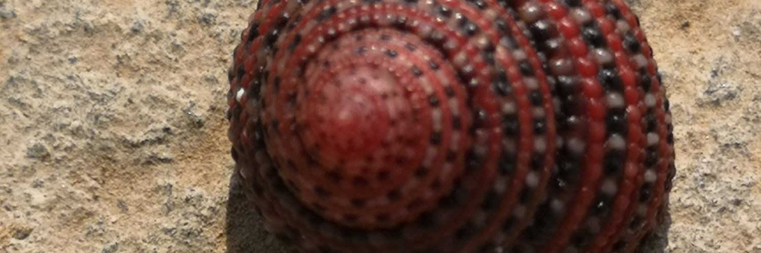 hamodae_1's profile banner image