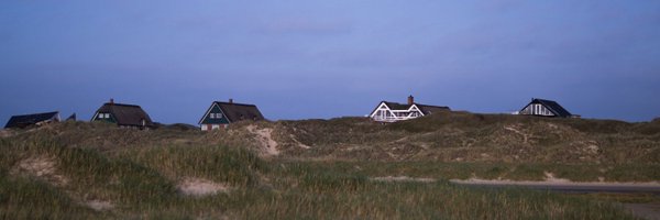 Diiind Profile Banner