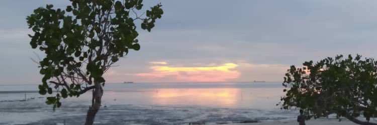 nsceya's profile banner image