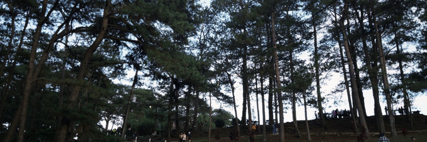 xsdcj's profile banner image