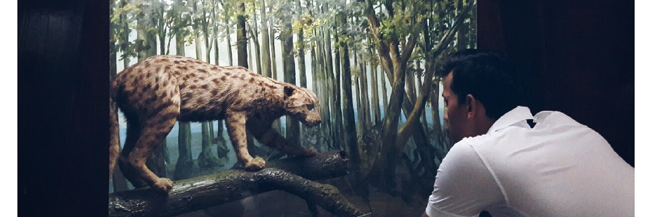 ptrrarahma's profile banner image