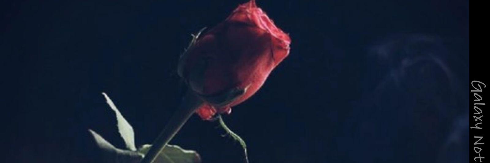 rr_00z's profile banner image