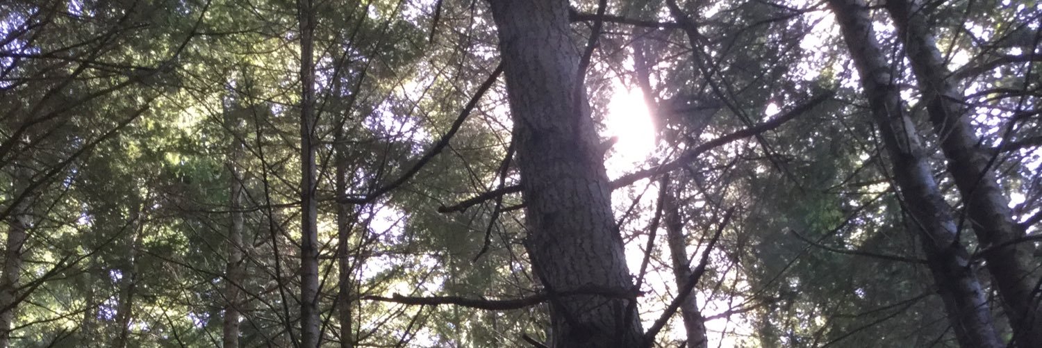 merry_D_'s profile banner image