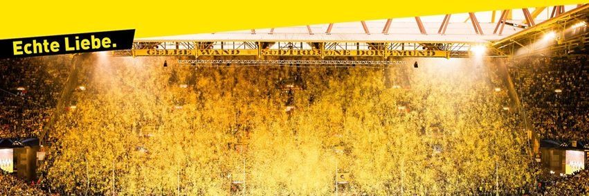 WolfBVB09's profile banner image