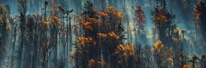 Dlord3442's profile banner image