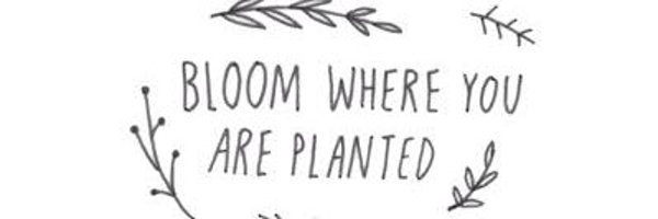 bdz456 Profile Banner