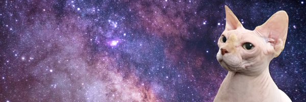 D_yukid Profile Banner