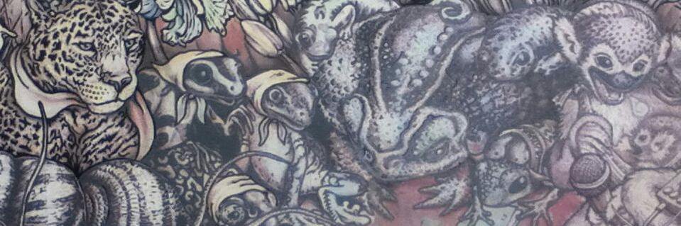 Grysiew's profile banner image