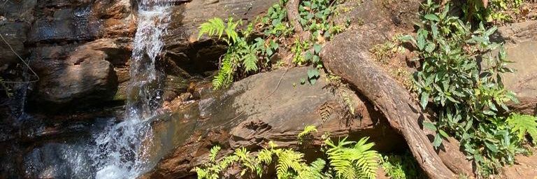 Nikhil Balaraman banner