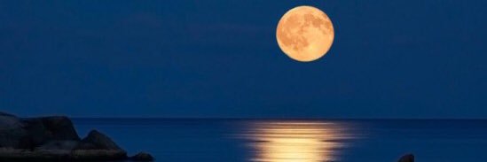 الصُّميل بن حاتَم 🇶🇦 banner