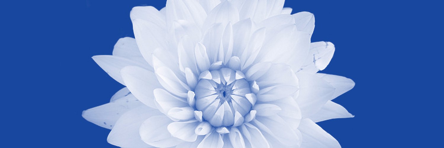 BloomLawFirm's profile banner image
