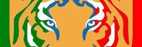 chalohdz's profile banner image
