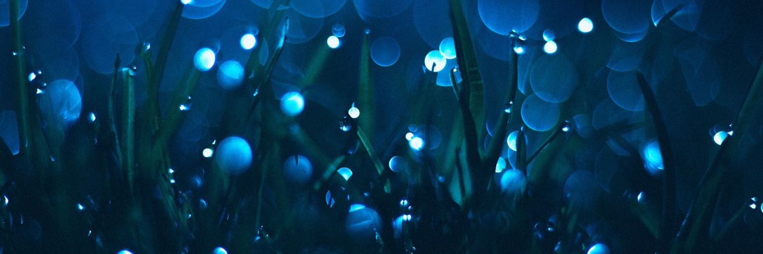 _LenikL_'s profile banner image