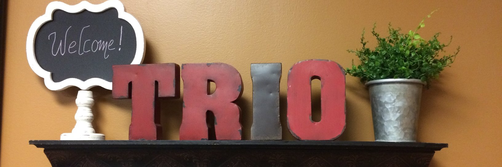 iwutrio's profile banner image