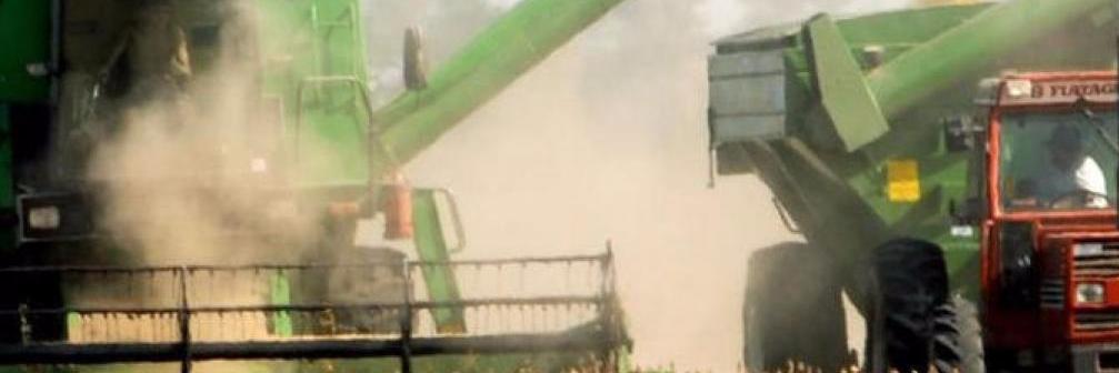 Martín Steeman banner