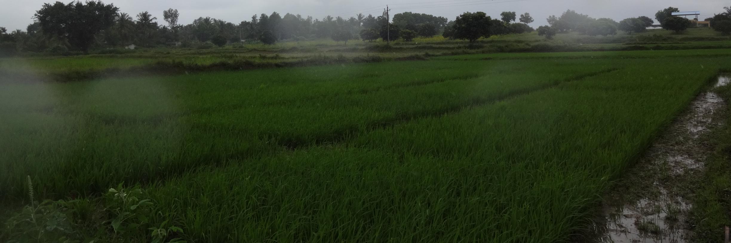 IndianAgriL's profile banner image