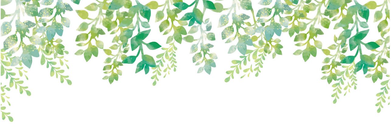 con brio🎶ぴあの🎶 banner