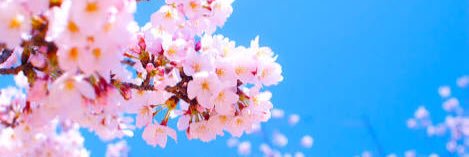yuu_seraf's profile banner image