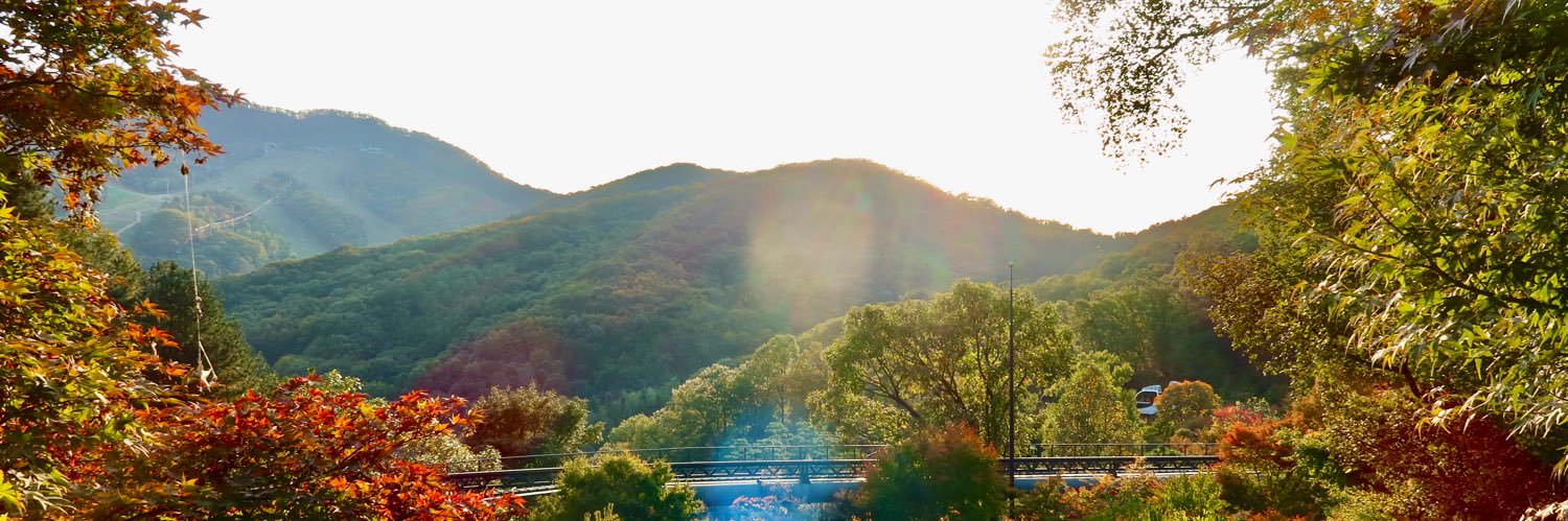sxnyee's profile banner image