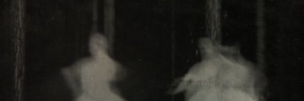 twoheadedcain Profile Banner