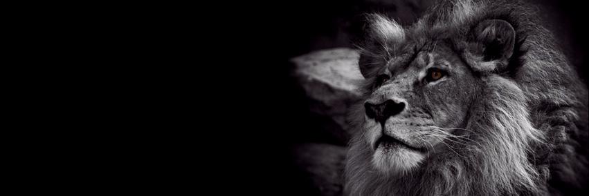 Ultimate_Exodus's profile banner image