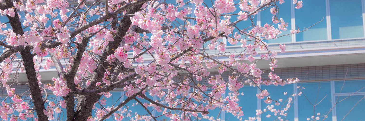 𝐾𝑢𝑠𝘩𝑖𝑛𝑎𝑑𝑎 banner